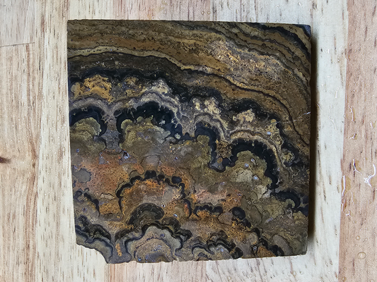 Stromatolite OT-x-00202