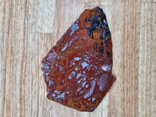 Noreena Jasper JA-00015-01