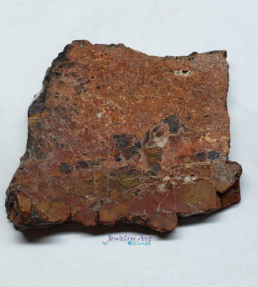 Petrified Wood PW-00003-03