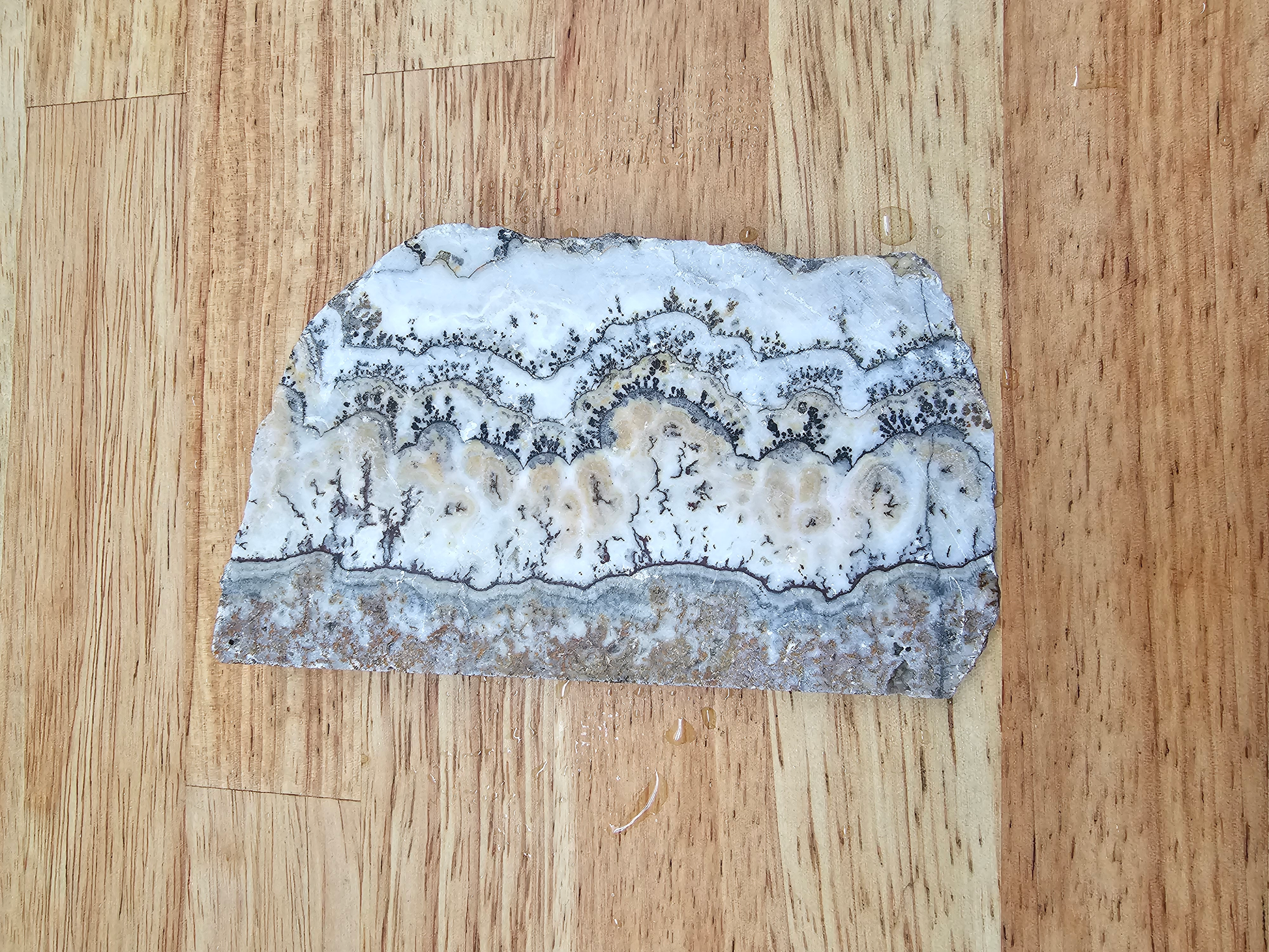 Silver Laced Onyx SLO-x-00002