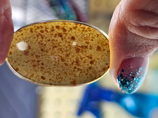 Baltic Amber FS-x-x-00156