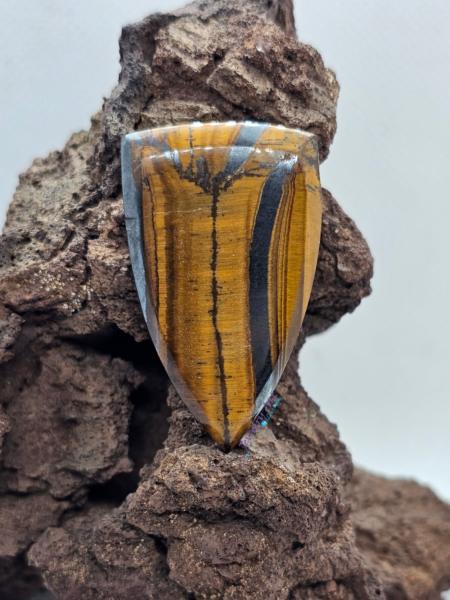 Tigers eye OT-x-x-00158