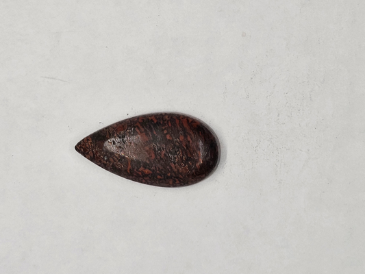 Dino Bone FS-x-x-00169
