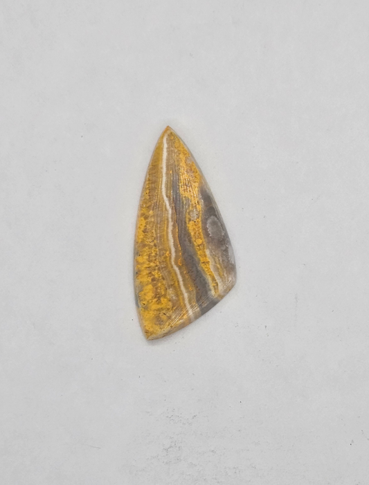 Bumble Bee Jasper JA-x-x-00140