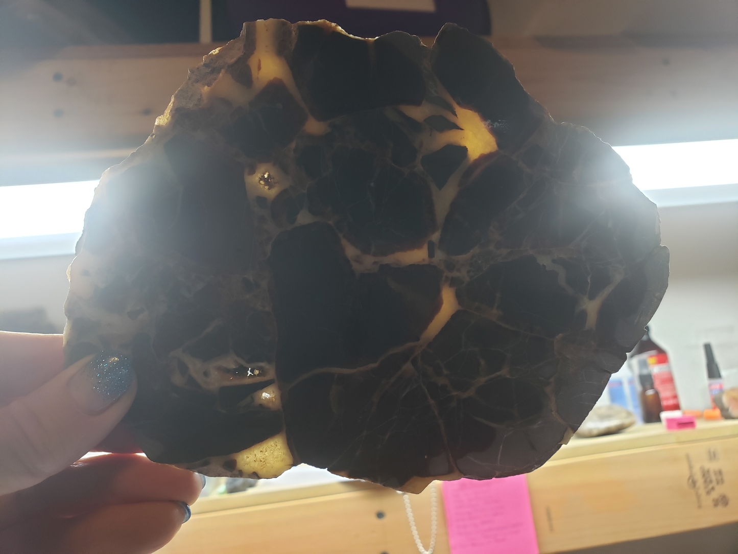 Septarian Nodule SN-x-00002