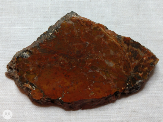 Petrified Wood PW-00006-05