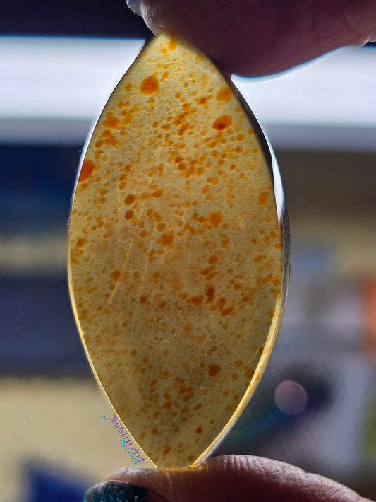 Baltic Amber FS-x-x-00153