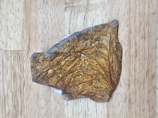 Owyhee Springs Mountain Picture Jasper JA-x-00158