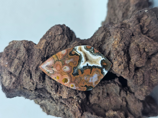 Ocean Jasper JA-x-x-00134