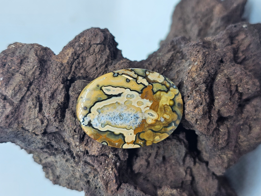 Ocean Jasper JA-x-x-00132