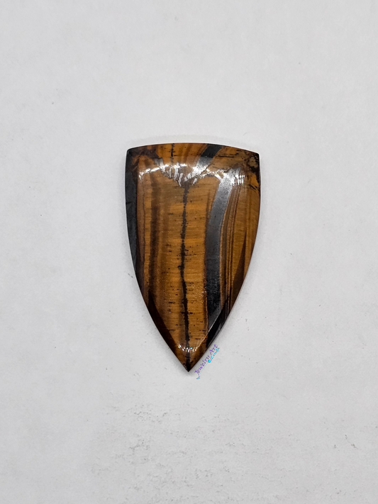 Tigers eye OT-x-x-00158