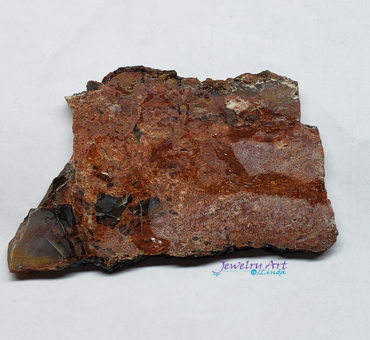 Petrified Wood PW-00003-02
