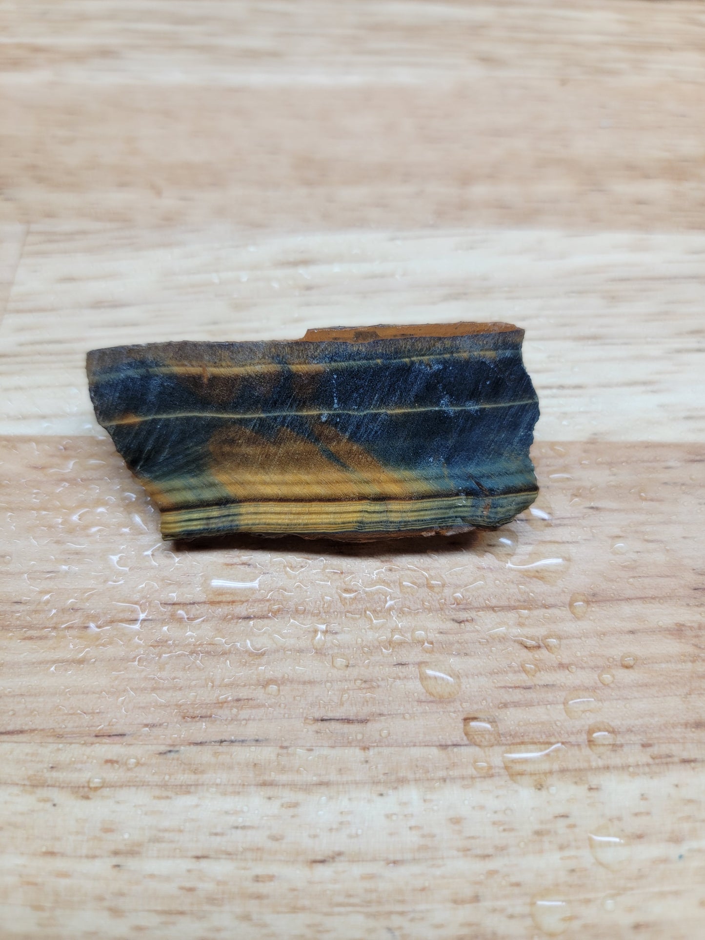 Tigers Eye with Blue - OT-00020-01