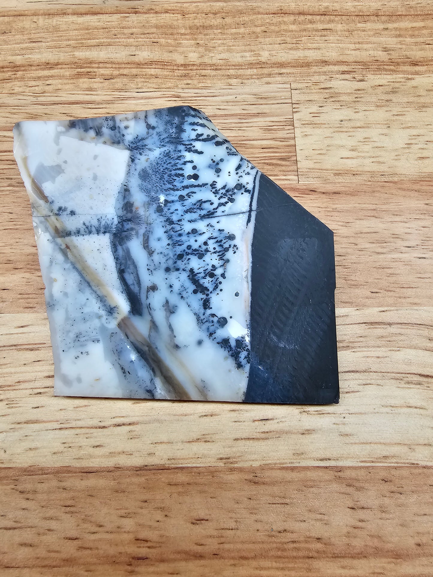 Mexican Parrarel Dendritic Agate - AG-x-00136