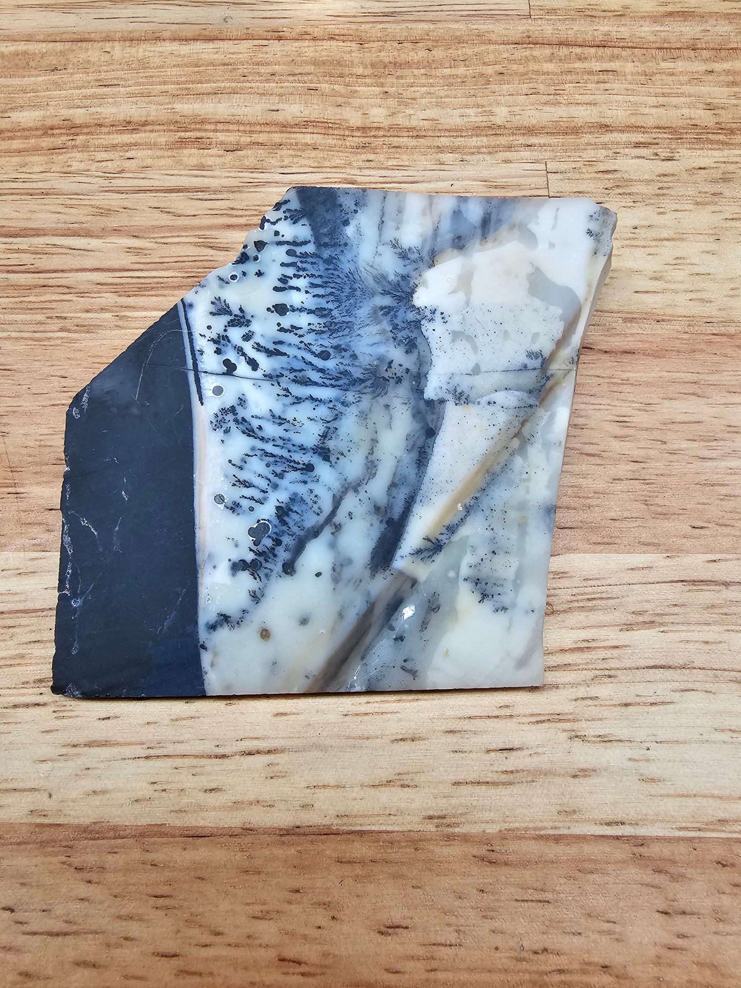 Mexican Parrarel Dendritic Agate - AG-x-00136