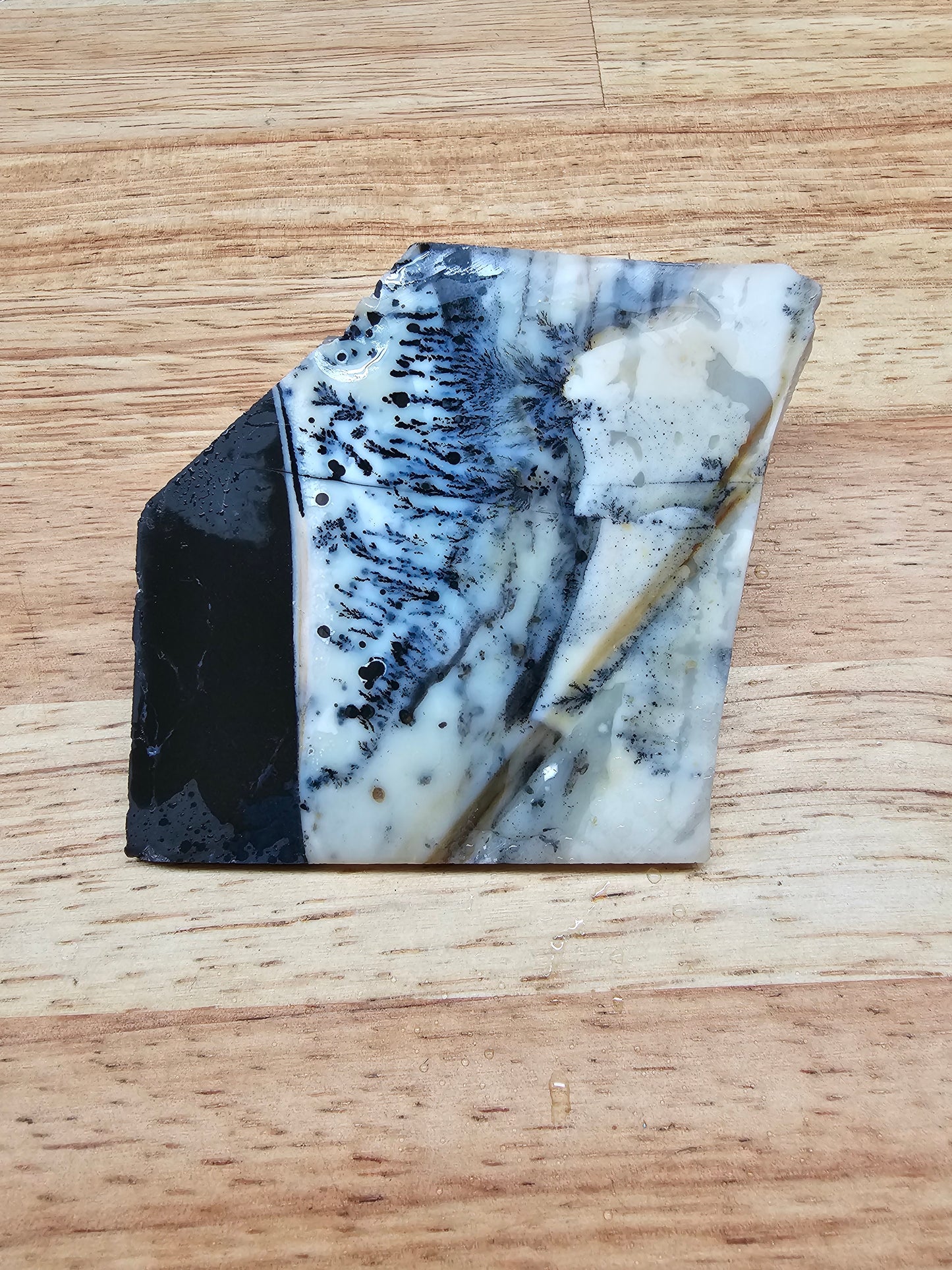 Mexican Parrarel Dendritic Agate - AG-x-00136