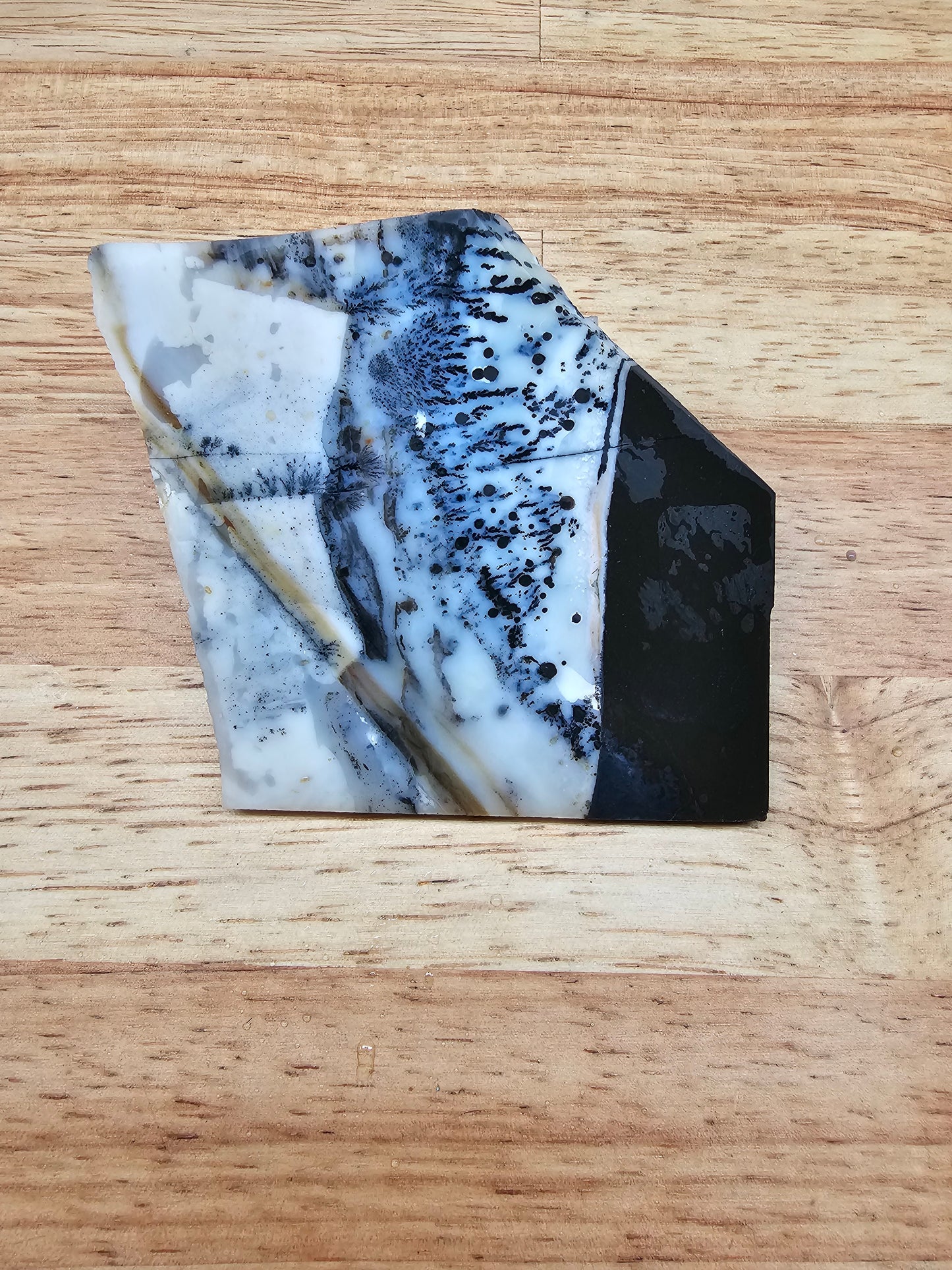 Mexican Parrarel Dendritic Agate - AG-x-00136