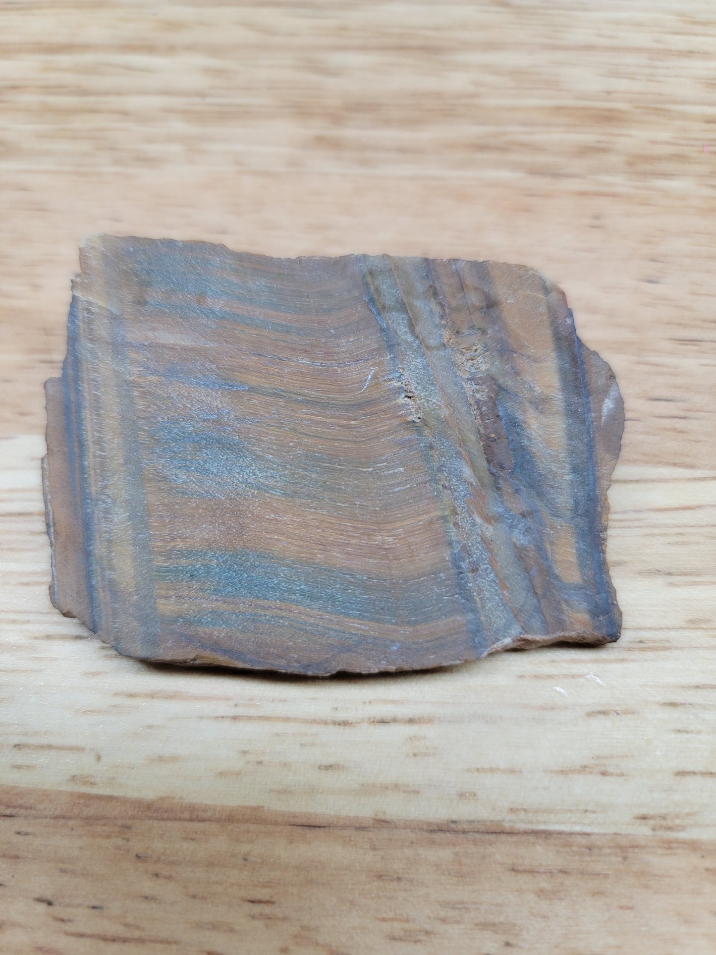 Tigers Eye with Blue - OT-x-00159