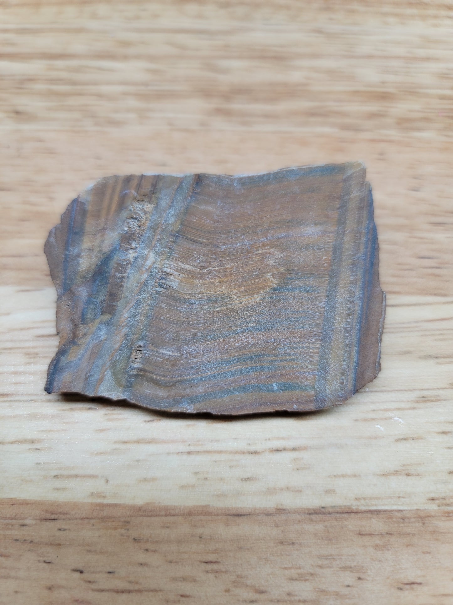 Tigers Eye with Blue - OT-x-00159