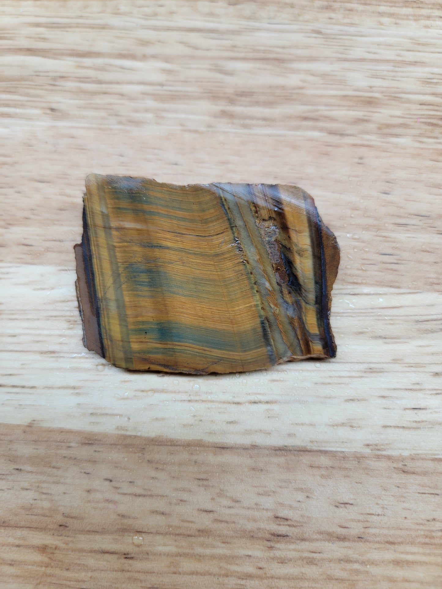 Tigers Eye with Blue - OT-x-00159