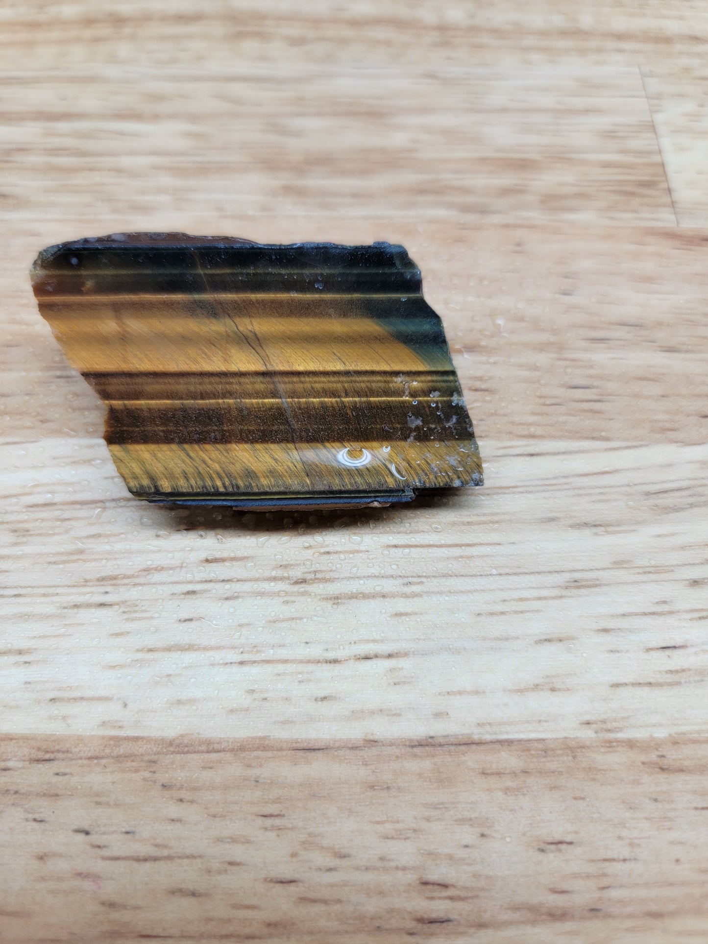 Tigers Eye with Blue - OT-x-00161