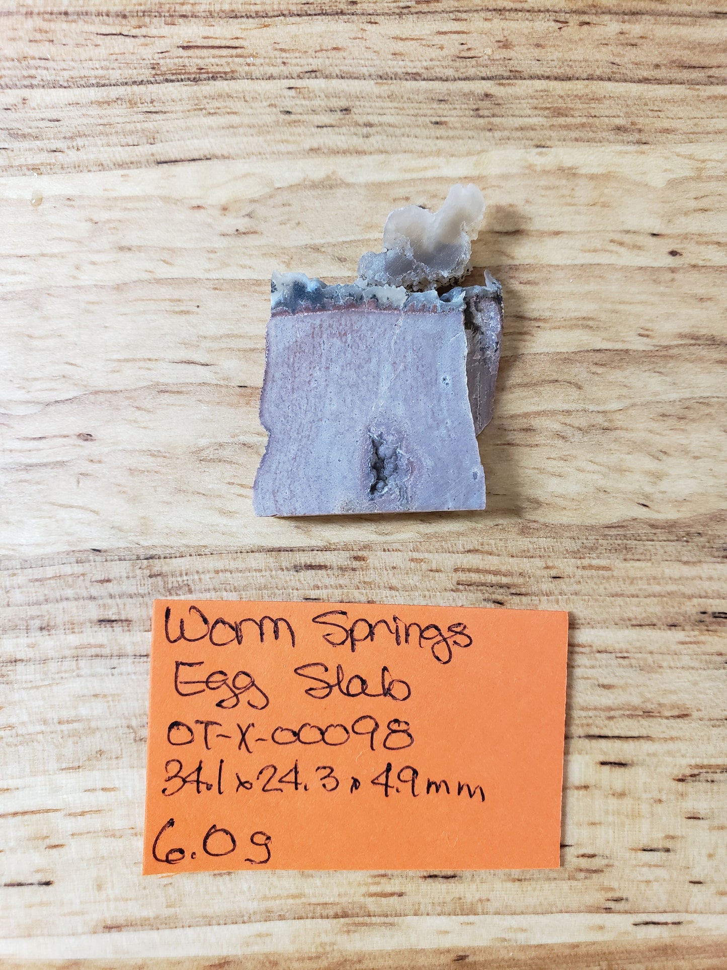 Worm Springs Egg Slab - OT-x-00098