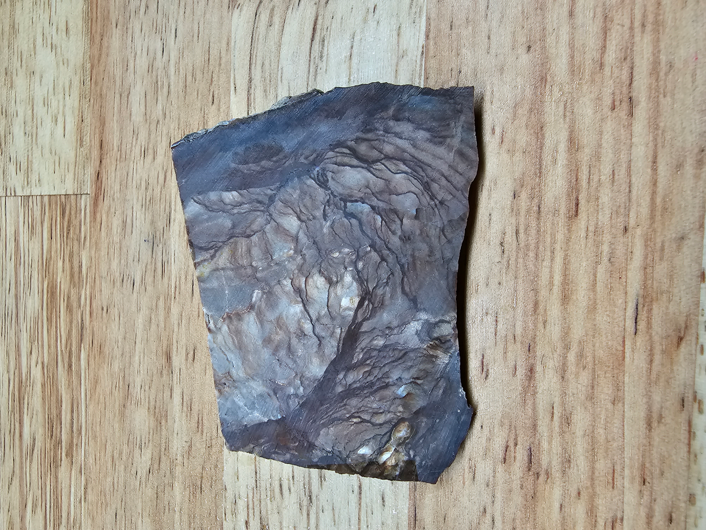 Jasper Biggs JA-x-00122