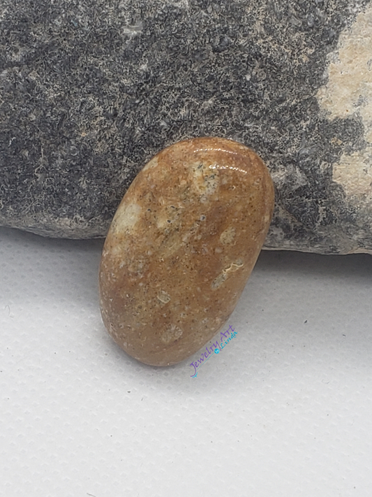 Unknown OT-x-x-00014