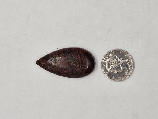 Dino Bone FS-x-x-00169