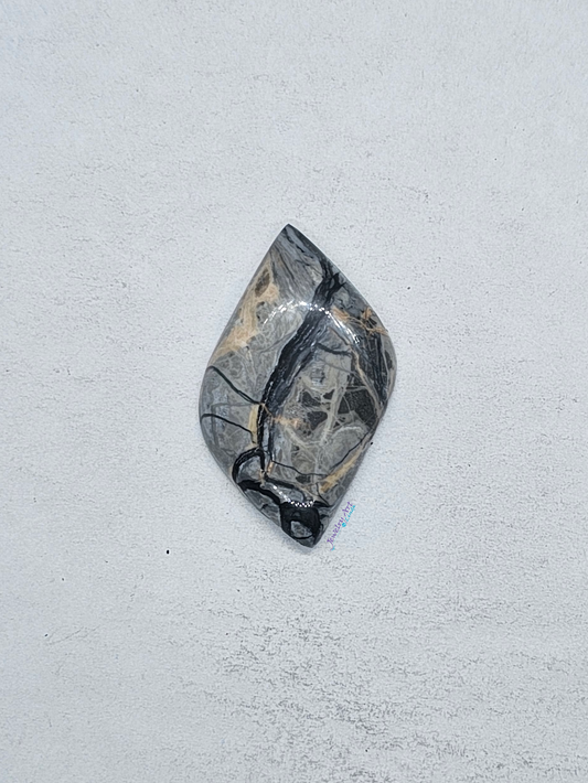 Pacific Coast Picasso OT-x-00204-04