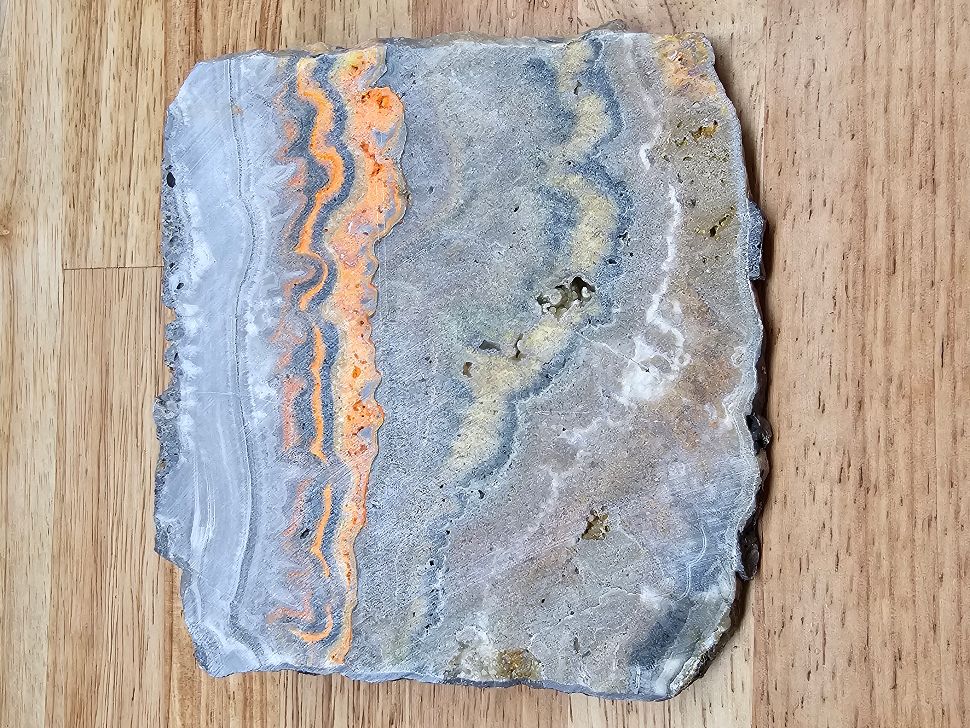 Bumble Bee Jasper JA-x-00172