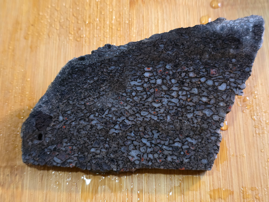 Dino Bone FS-x-00060