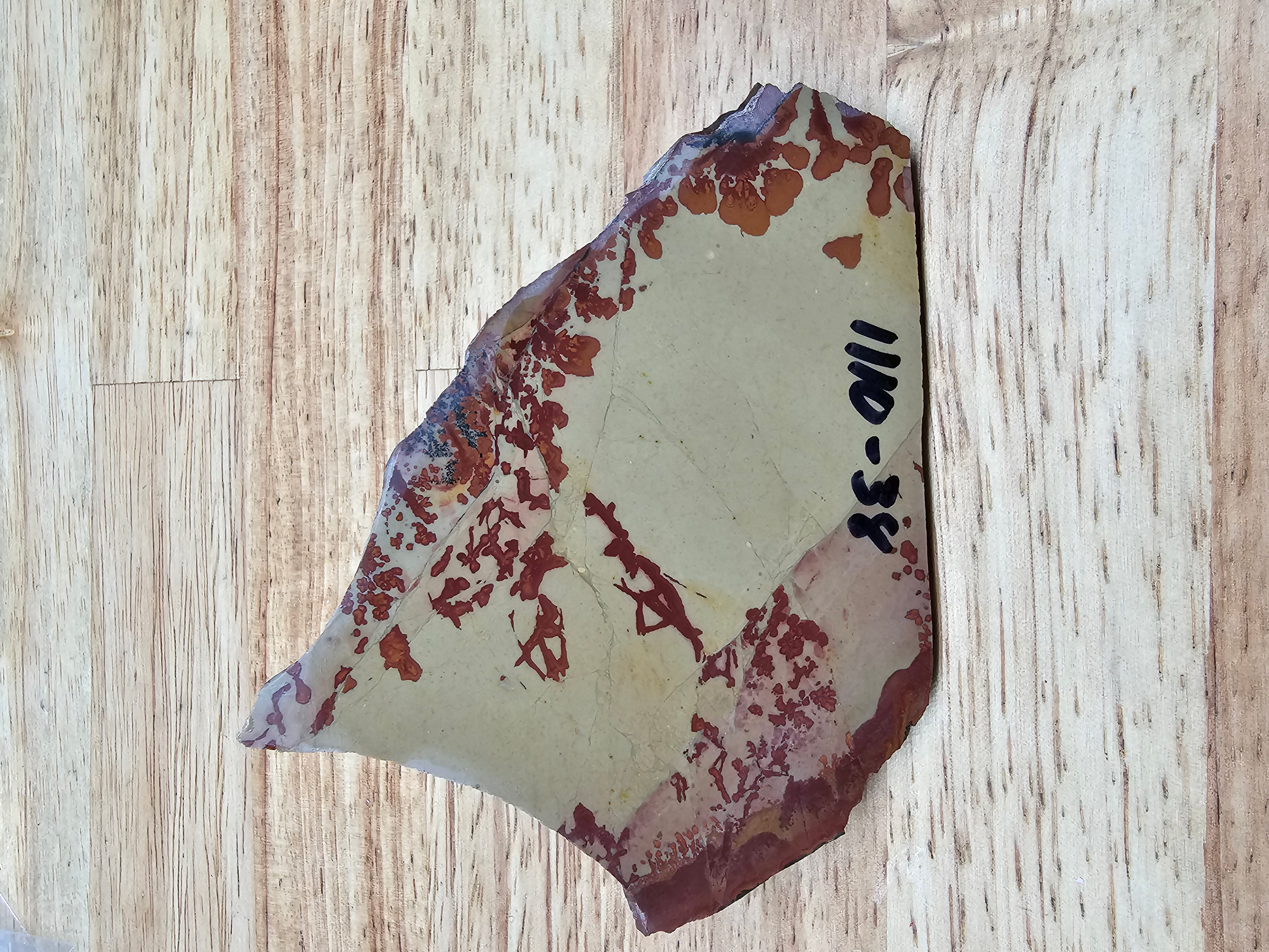 Owyhee Flower Jasper JA-x-00123