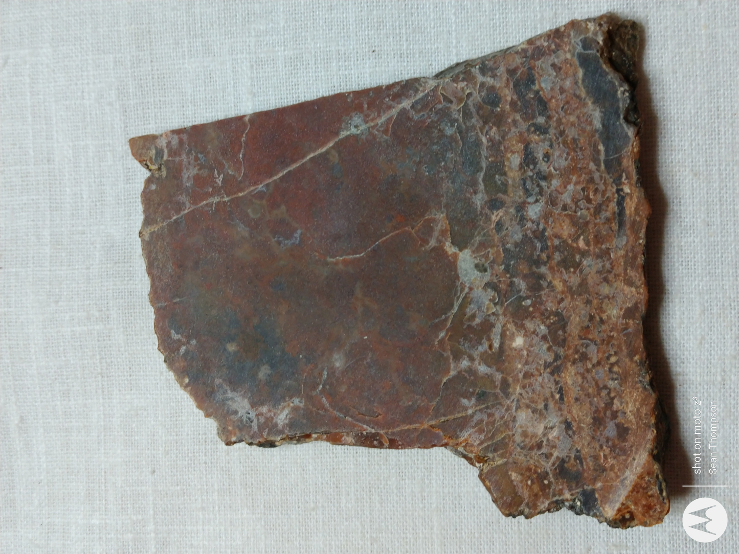 Petrified Wood PW-00006-08a