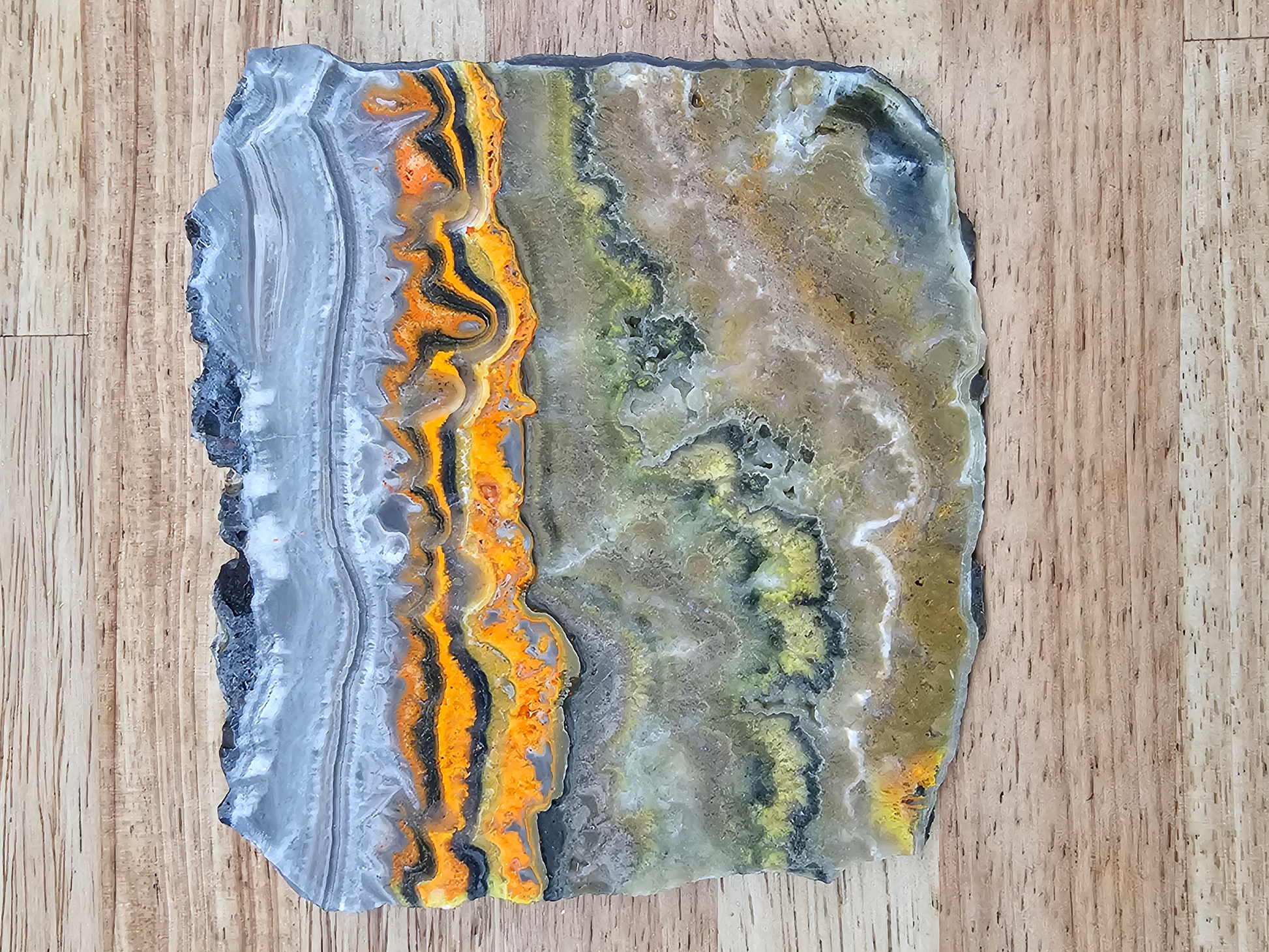 Bumble Bee Jasper JA-x-00172