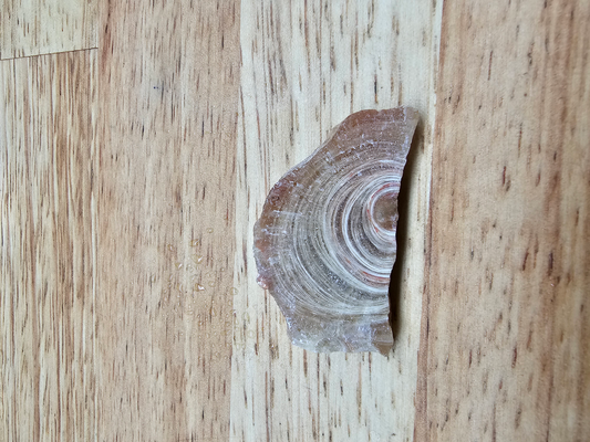 Kodachromsite OT-x-00230