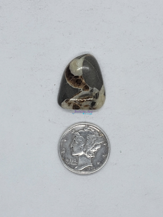 Septarian Nodule SN-x-00011-04