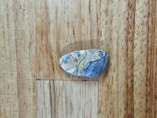 Pacific Coast Picasso OT-x-x-00126