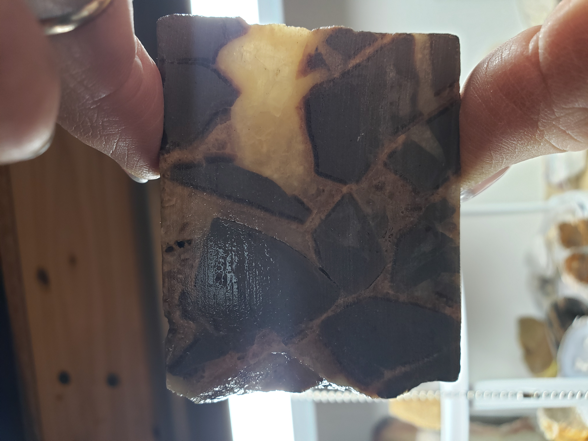 Septarian Nodule SN-x-00004