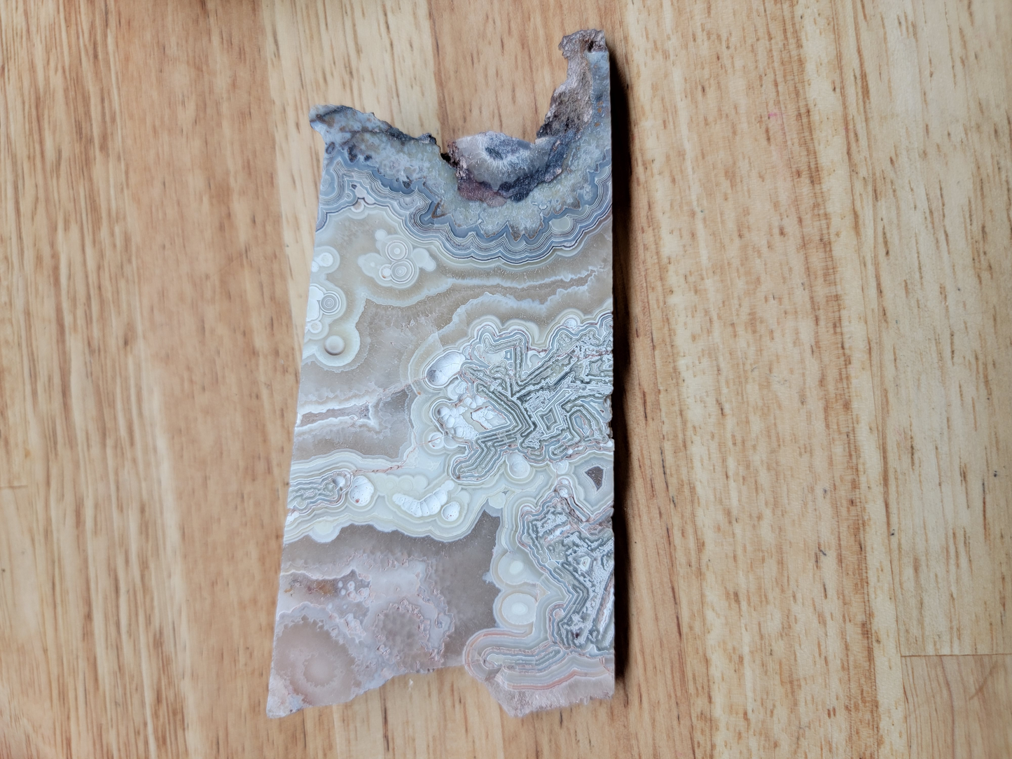 Crazy Lace Agate AG-x-00089