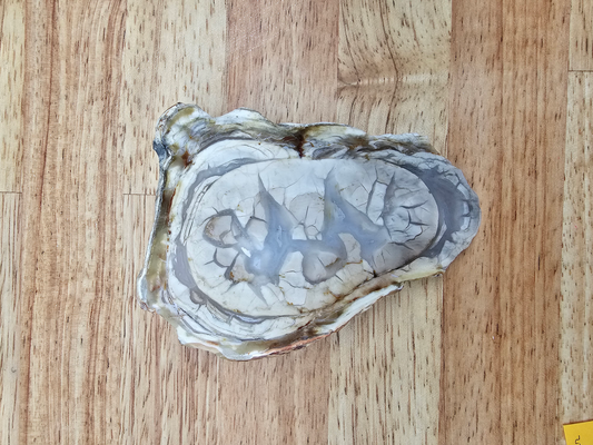 White Rose Jasper JA-x-00135