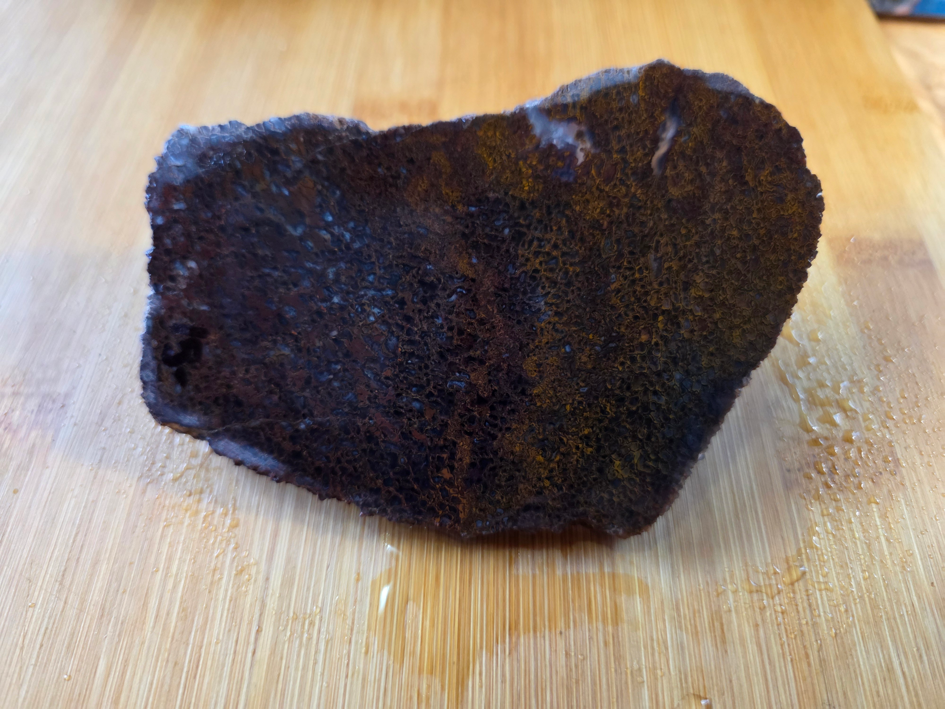 Dino Bone FS-x-00058