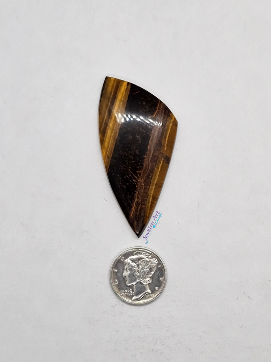 Tigers eye OT-x-x-00159