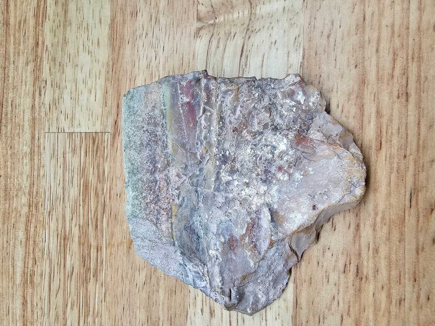 Crayola Jasper JA-x-00121