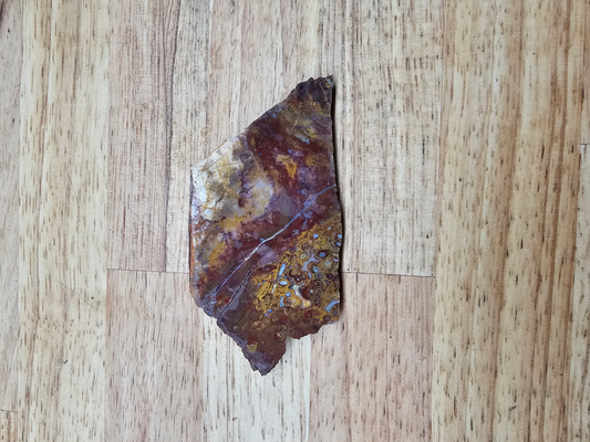 Indonesian Multi-colored Palm FS-x-00014A