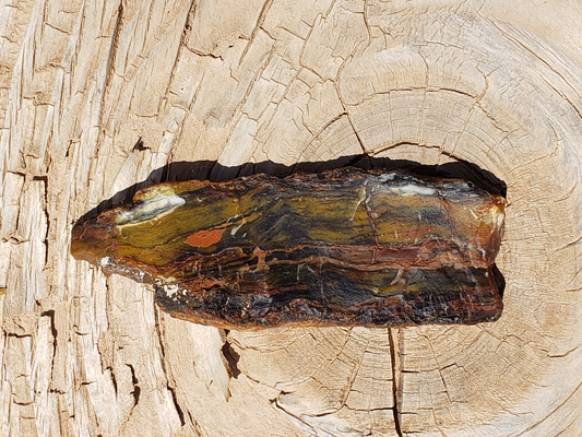 Petrified Wood PW-00004-01