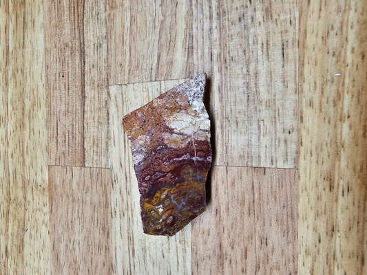 Indonesian Multi-colored Palm FS-x-00014B