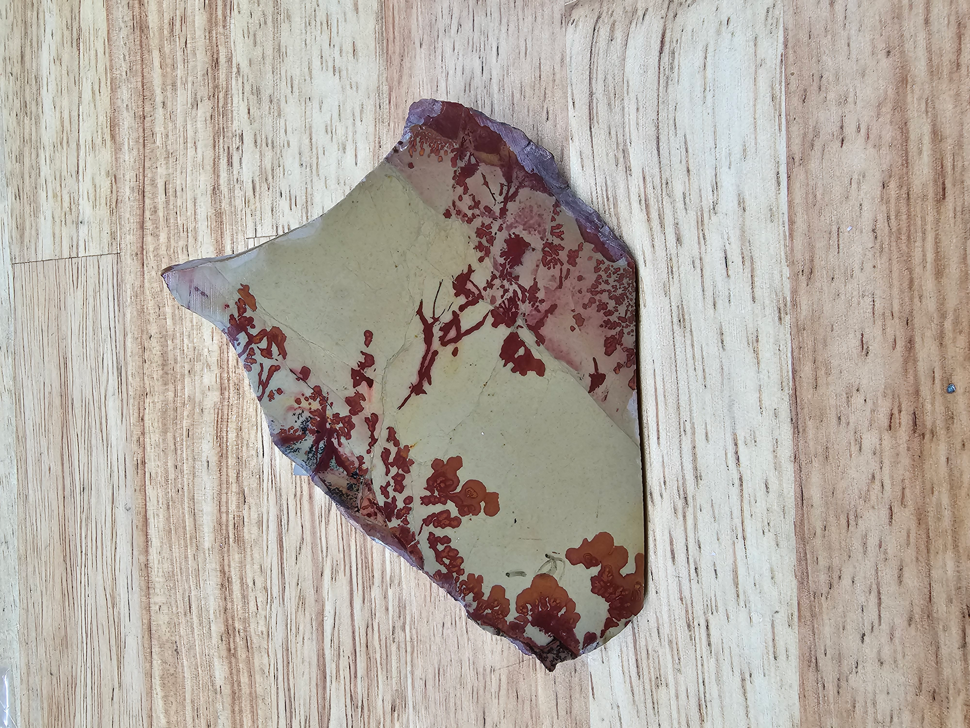 Owyhee Flower Jasper JA-x-00123