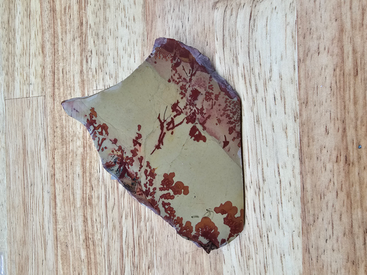 Owyhee Flower Jasper JA-x-00123