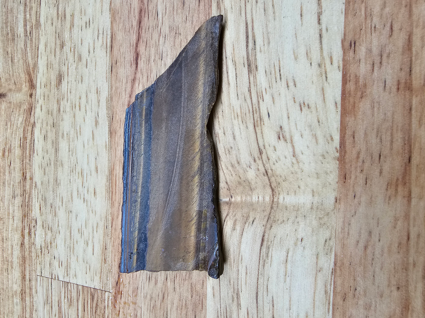 Tigers Eye OT-x-00186